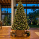 Commercial 9ft luxury Christmas tree with wicker collar in an executive corporate lobby in Colombo - Cool Budget