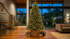 Comparing green, white and snow-flocked artificial Christmas trees in Sri Lanka - Cool Budget