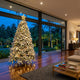Comparing 6ft and 7ft artificial Christmas trees in a contemporary Sri Lankan living room with high-density branches - Cool Budget